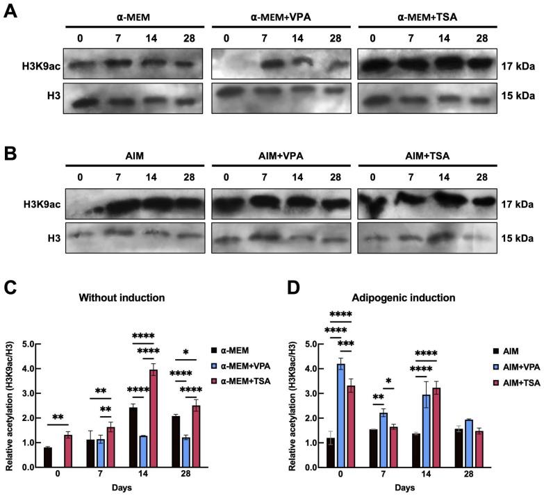 https://cdn.ncbi.nlm.nih.gov/pmc/blobs/2739/12192146/d201dfb4b3e7/epigenomes-09-00015-g003.jpg