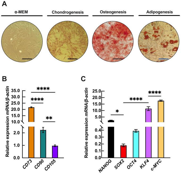 https://cdn.ncbi.nlm.nih.gov/pmc/blobs/2739/12192146/e15c5689b2d8/epigenomes-09-00015-g001.jpg