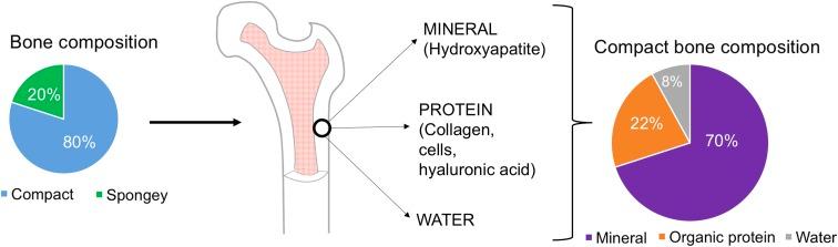 https://cdn.ncbi.nlm.nih.gov/pmc/blobs/2739/5248549/b6fdbcea0dcd/fig-1.jpg