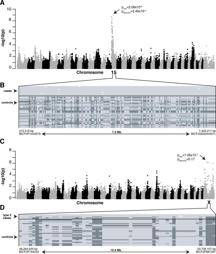 https://cdn.ncbi.nlm.nih.gov/pmc/blobs/273b/7082071/93ca705e3699/pgen.1008659.g003.jpg