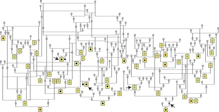 https://cdn.ncbi.nlm.nih.gov/pmc/blobs/273b/7082071/e58f048d18fe/pgen.1008659.g002.jpg