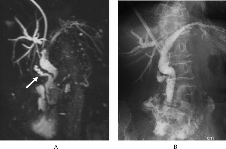 https://cdn.ncbi.nlm.nih.gov/pmc/blobs/273b/9619335/fe7f4076b025/gr6.jpg