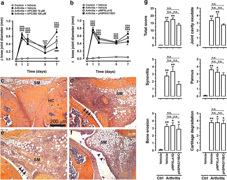 https://cdn.ncbi.nlm.nih.gov/pmc/blobs/273d/5461776/fea5468fb974/13075_2017_1326_Fig4_HTML.jpg