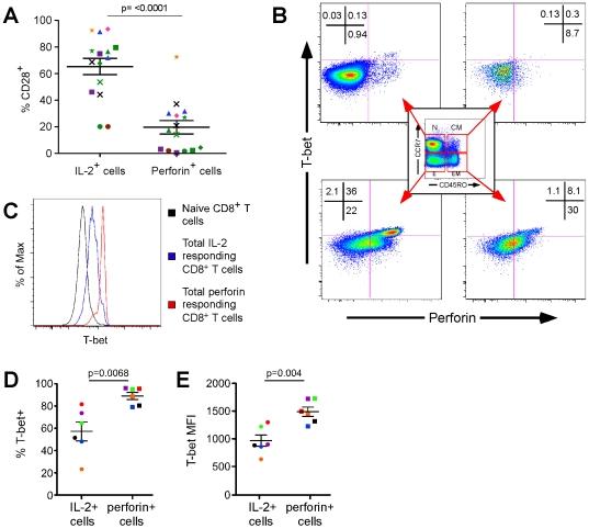 https://cdn.ncbi.nlm.nih.gov/pmc/blobs/273e/2832688/23e05171ed08/ppat.1000798.g006.jpg