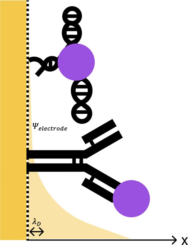 https://cdn.ncbi.nlm.nih.gov/pmc/blobs/2740/7761593/7473b99bf5a4/nn0c08622_0001.jpg