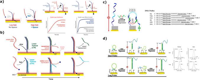 https://cdn.ncbi.nlm.nih.gov/pmc/blobs/2741/12202687/449a1be3d556/604_2025_7267_Fig13_HTML.jpg