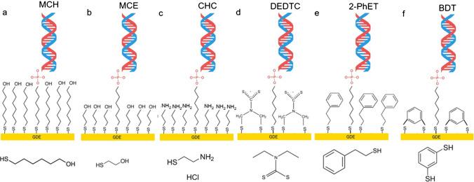 https://cdn.ncbi.nlm.nih.gov/pmc/blobs/2741/12202687/836ea88cc90a/604_2025_7267_Fig5_HTML.jpg