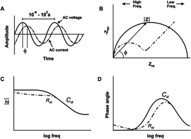 https://cdn.ncbi.nlm.nih.gov/pmc/blobs/2741/12202687/902880809b1e/604_2025_7267_Fig8_HTML.jpg