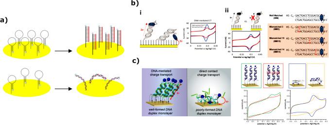 https://cdn.ncbi.nlm.nih.gov/pmc/blobs/2741/12202687/d1af0a7f4f89/604_2025_7267_Fig11_HTML.jpg