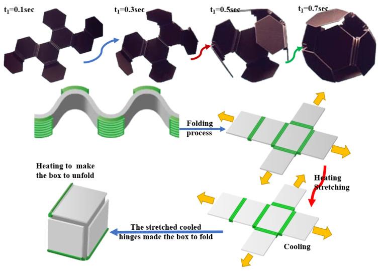 https://cdn.ncbi.nlm.nih.gov/pmc/blobs/2746/11430662/7463bc7958c1/biomimetics-09-00530-g004.jpg