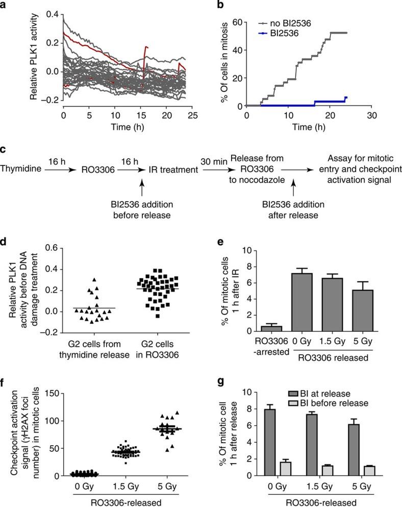 https://cdn.ncbi.nlm.nih.gov/pmc/blobs/2746/4059941/5bbdb562f530/ncomms5048-f6.jpg