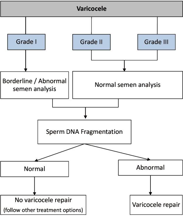 https://cdn.ncbi.nlm.nih.gov/pmc/blobs/2749/5643602/e2cdfd565f7a/tau-06-S4-S734-f4.jpg