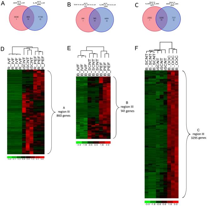 https://cdn.ncbi.nlm.nih.gov/pmc/blobs/274a/3143123/a093ceb6c60c/pone.0022197.g004.jpg