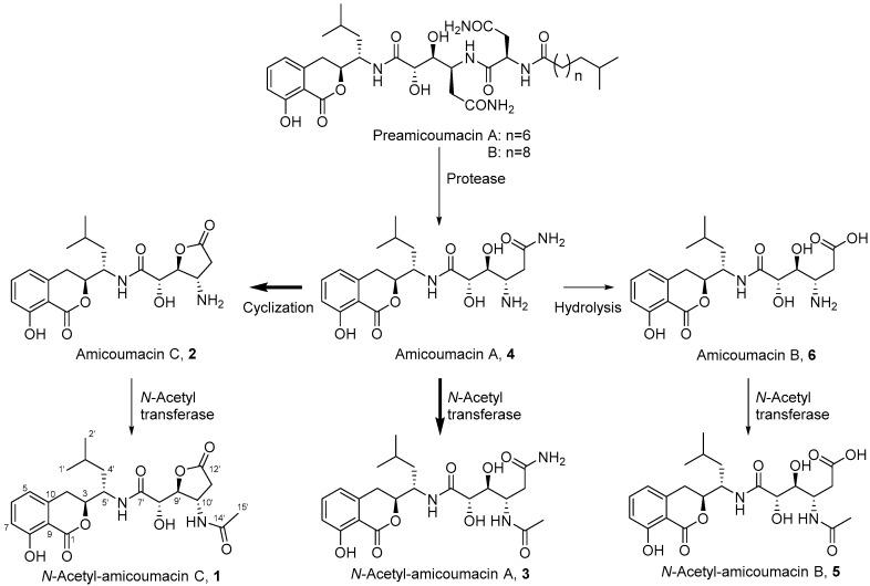 https://cdn.ncbi.nlm.nih.gov/pmc/blobs/274a/6273155/a86105996e0d/molecules-21-00824-g001.jpg