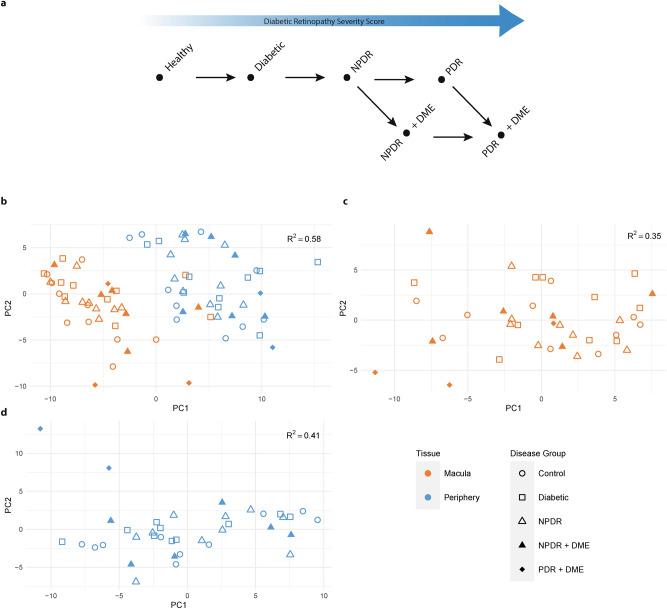 https://cdn.ncbi.nlm.nih.gov/pmc/blobs/274a/8131353/ddf0cef45d8c/41598_2021_88698_Fig1_HTML.jpg