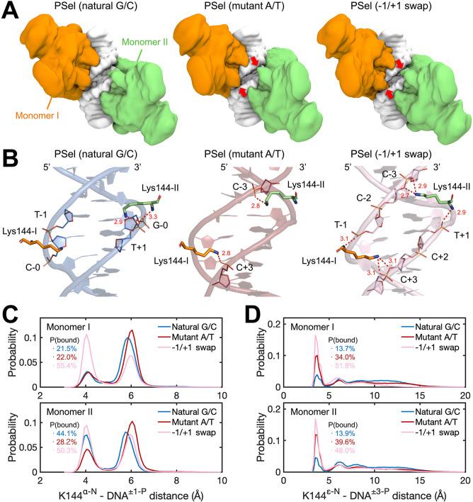 https://cdn.ncbi.nlm.nih.gov/pmc/blobs/274a/9991059/491631a6a1c4/elife-86258-fig7.jpg