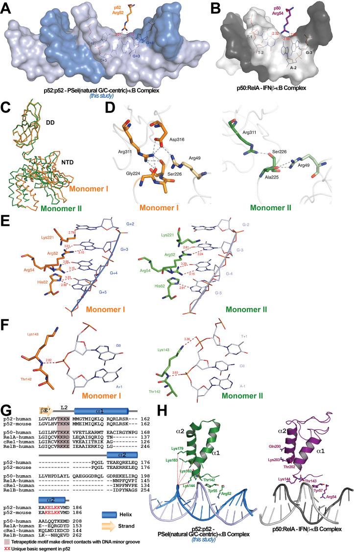 https://cdn.ncbi.nlm.nih.gov/pmc/blobs/274a/9991059/c0db65d342a9/elife-86258-fig3.jpg