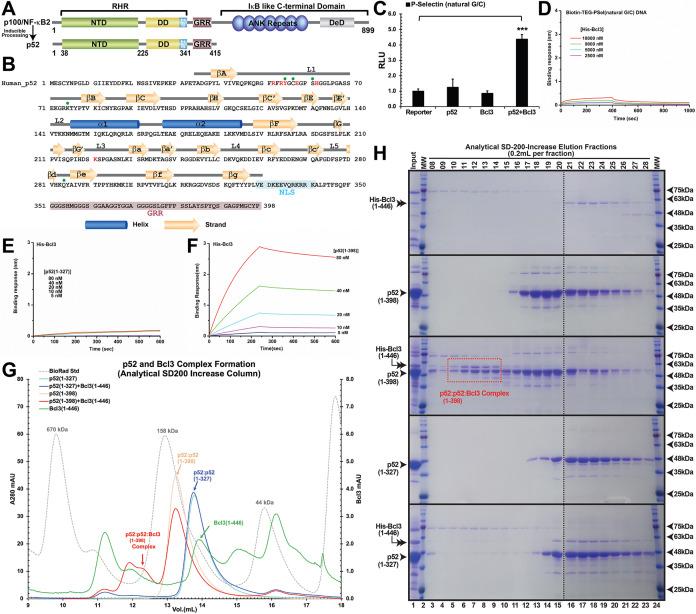 https://cdn.ncbi.nlm.nih.gov/pmc/blobs/274a/9991059/c674af7890bf/elife-86258-fig1-figsupp1.jpg
