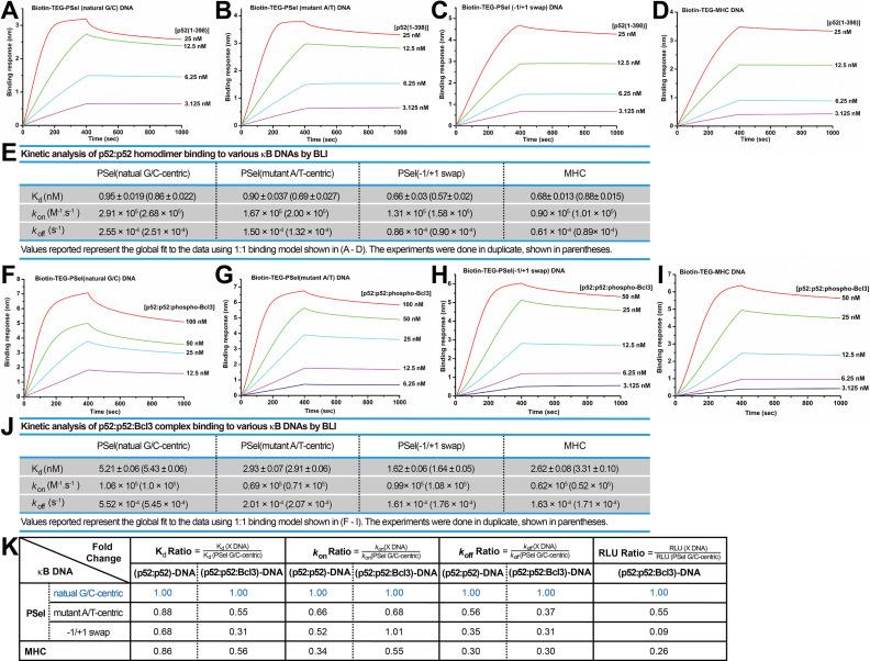 https://cdn.ncbi.nlm.nih.gov/pmc/blobs/274a/9991059/e5e1ca689b7c/elife-86258-fig6.jpg