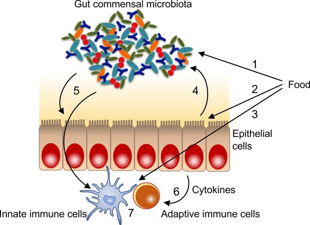 https://cdn.ncbi.nlm.nih.gov/pmc/blobs/274c/10542430/3146c7a28916/bmfh-42-222-g001.jpg