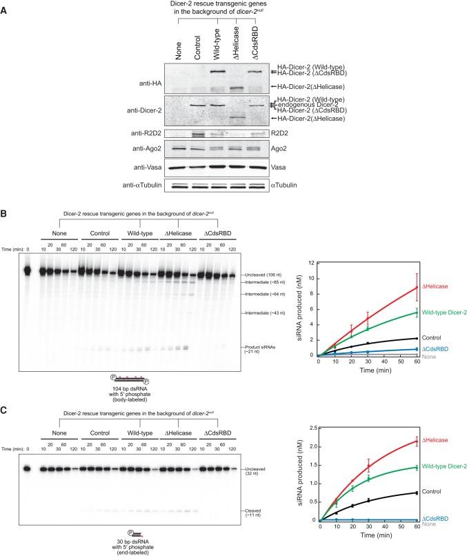 https://cdn.ncbi.nlm.nih.gov/pmc/blobs/274e/5473147/187e761b9c1f/1139f06.jpg