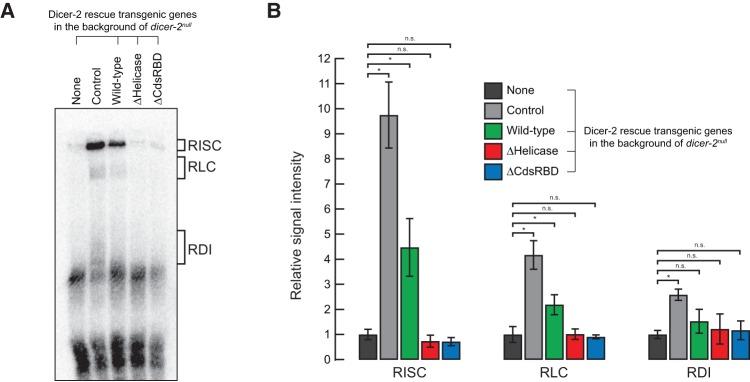https://cdn.ncbi.nlm.nih.gov/pmc/blobs/274e/5473147/da5a75f501f1/1139f07.jpg