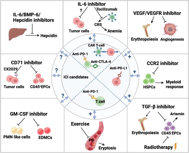https://cdn.ncbi.nlm.nih.gov/pmc/blobs/2751/10199626/02c58f948bd0/12964_2023_1145_Fig3_HTML.jpg