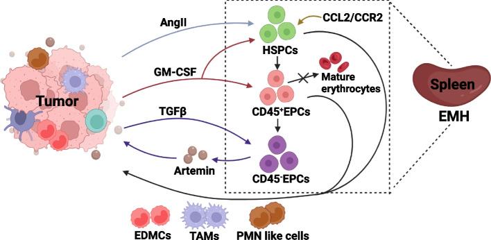 https://cdn.ncbi.nlm.nih.gov/pmc/blobs/2751/10199626/88a58cb9d204/12964_2023_1145_Fig2_HTML.jpg