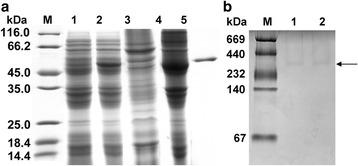 https://cdn.ncbi.nlm.nih.gov/pmc/blobs/2751/5680780/d7b9737245e0/13071_2017_2494_Fig3_HTML.jpg