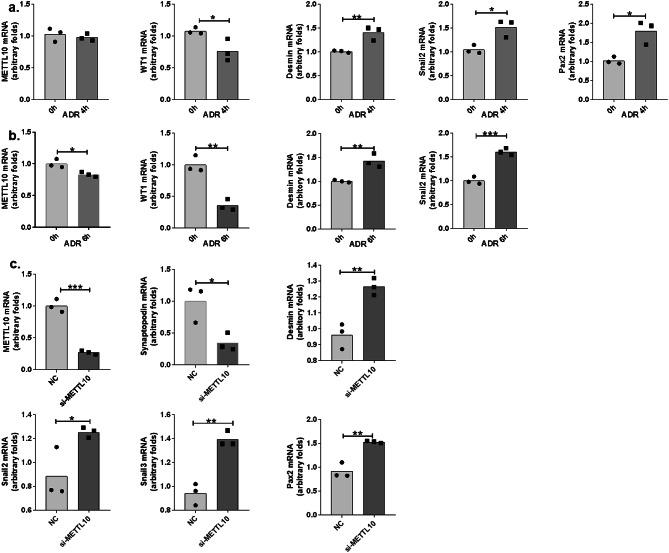 https://cdn.ncbi.nlm.nih.gov/pmc/blobs/2752/11707283/c6482ff0eb93/41598_2024_80526_Fig5_HTML.jpg