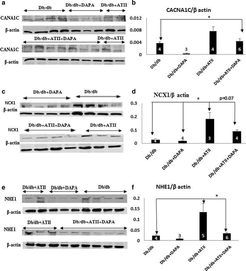 https://cdn.ncbi.nlm.nih.gov/pmc/blobs/2752/6953156/b7c61e43357a/12933_2019_980_Fig5_HTML.jpg