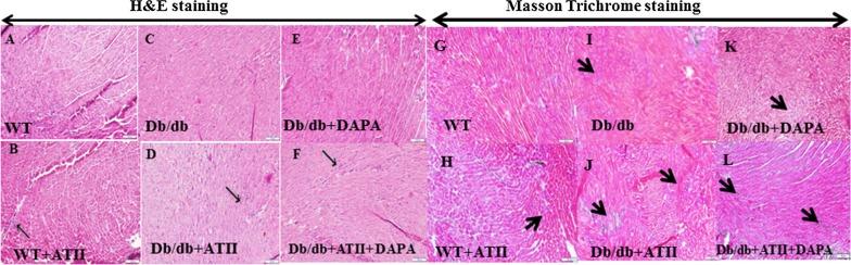 https://cdn.ncbi.nlm.nih.gov/pmc/blobs/2752/6953156/eaf6997f2b7e/12933_2019_980_Fig1_HTML.jpg
