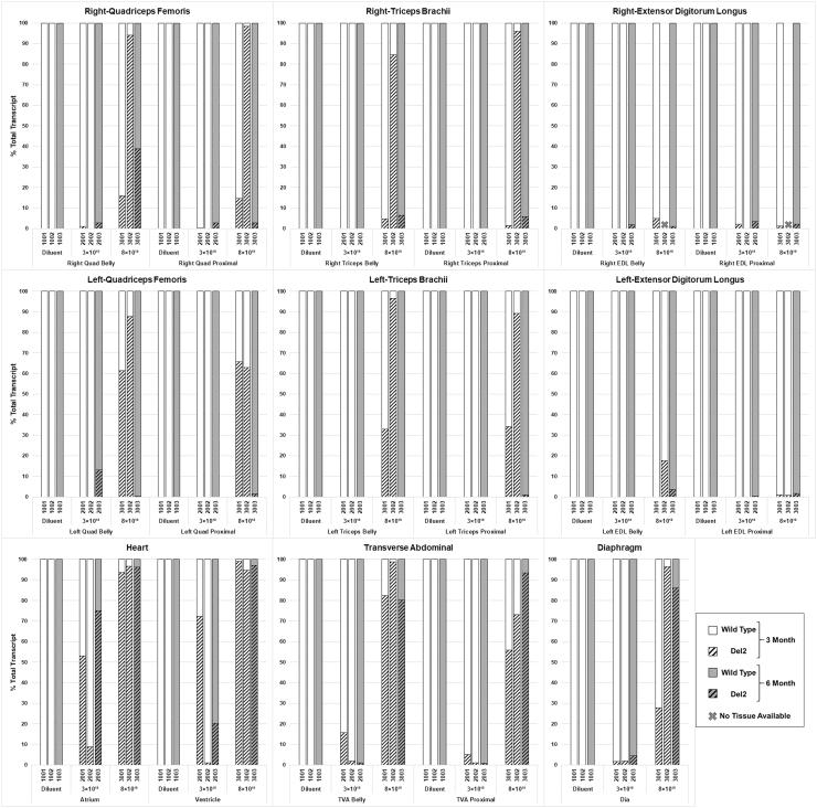 https://cdn.ncbi.nlm.nih.gov/pmc/blobs/2753/10112461/54166c86a068/hum.2020.286_figure4.jpg