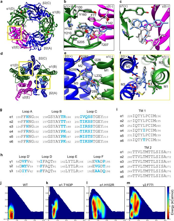 https://cdn.ncbi.nlm.nih.gov/pmc/blobs/2753/9357065/81104fd8a851/41467_2022_32212_Fig3_HTML.jpg
