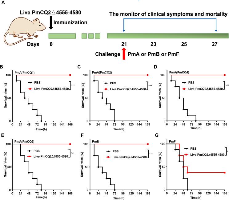 https://cdn.ncbi.nlm.nih.gov/pmc/blobs/2754/10924365/b8931c48f533/12917_2024_3948_Fig4_HTML.jpg