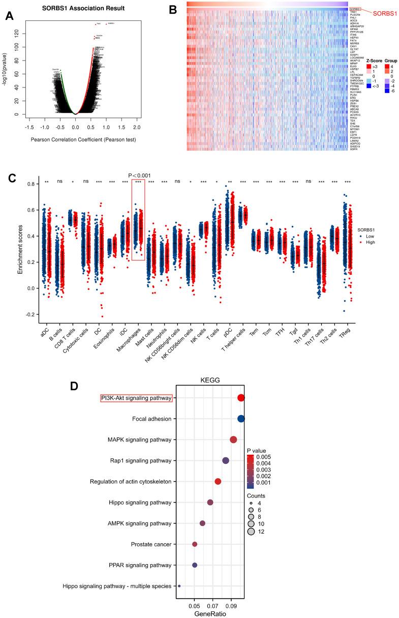 https://cdn.ncbi.nlm.nih.gov/pmc/blobs/2756/10968685/f350e2967508/aging-16-205632-g002.jpg