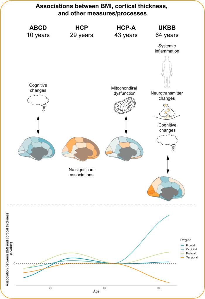 https://cdn.ncbi.nlm.nih.gov/pmc/blobs/2756/11133431/e1980cc126e1/42003_2024_6361_Fig6_HTML.jpg