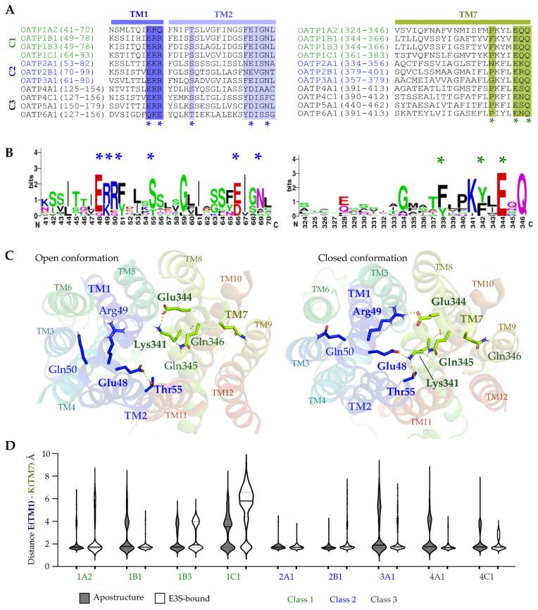 https://cdn.ncbi.nlm.nih.gov/pmc/blobs/2756/9738416/a4668c1d7fcd/molecules-27-08531-g006.jpg