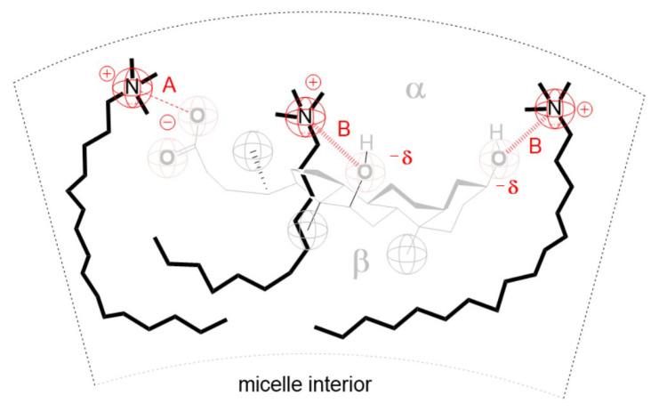 https://cdn.ncbi.nlm.nih.gov/pmc/blobs/2758/10535795/85566e6a91d7/molecules-28-06722-g006.jpg