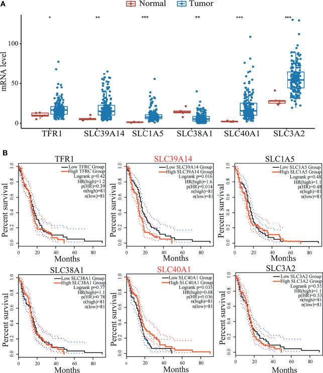 https://cdn.ncbi.nlm.nih.gov/pmc/blobs/2758/9071296/f9cb9902282f/fonc-12-861834-g002.jpg