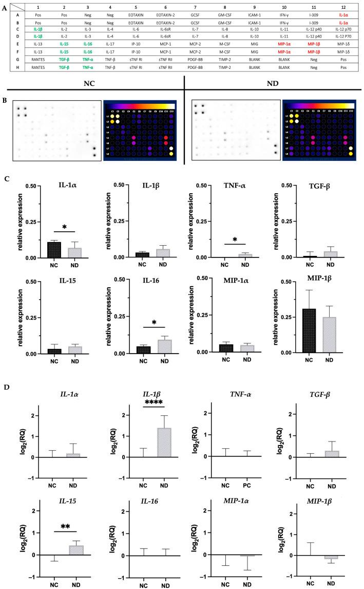 https://cdn.ncbi.nlm.nih.gov/pmc/blobs/2759/10456456/92c561982338/materials-16-05600-g004.jpg