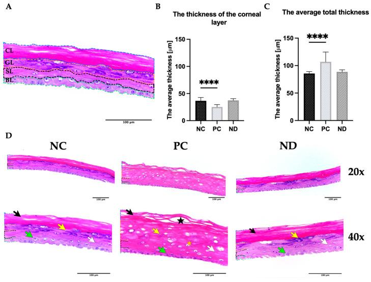 https://cdn.ncbi.nlm.nih.gov/pmc/blobs/2759/10456456/da54502eebfc/materials-16-05600-g003.jpg