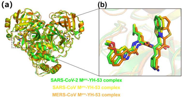 https://cdn.ncbi.nlm.nih.gov/pmc/blobs/2759/9505605/ad0cbf0a17c0/viruses-14-02075-g003.jpg