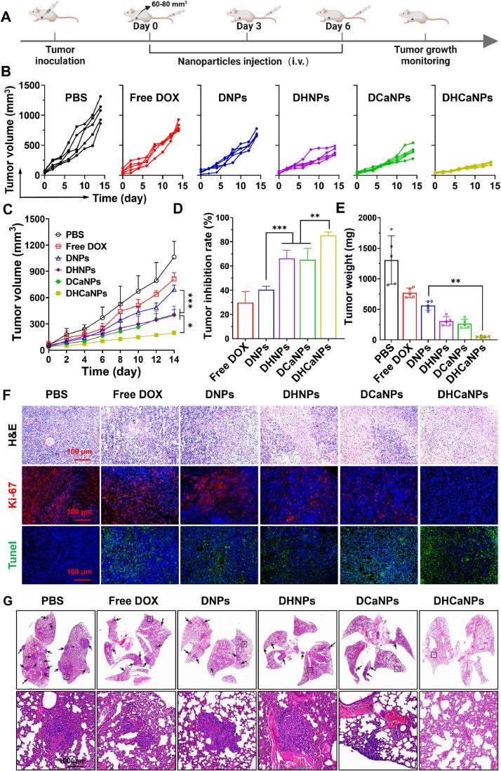 https://cdn.ncbi.nlm.nih.gov/pmc/blobs/275a/11002573/180bfc7795ed/gr5.jpg