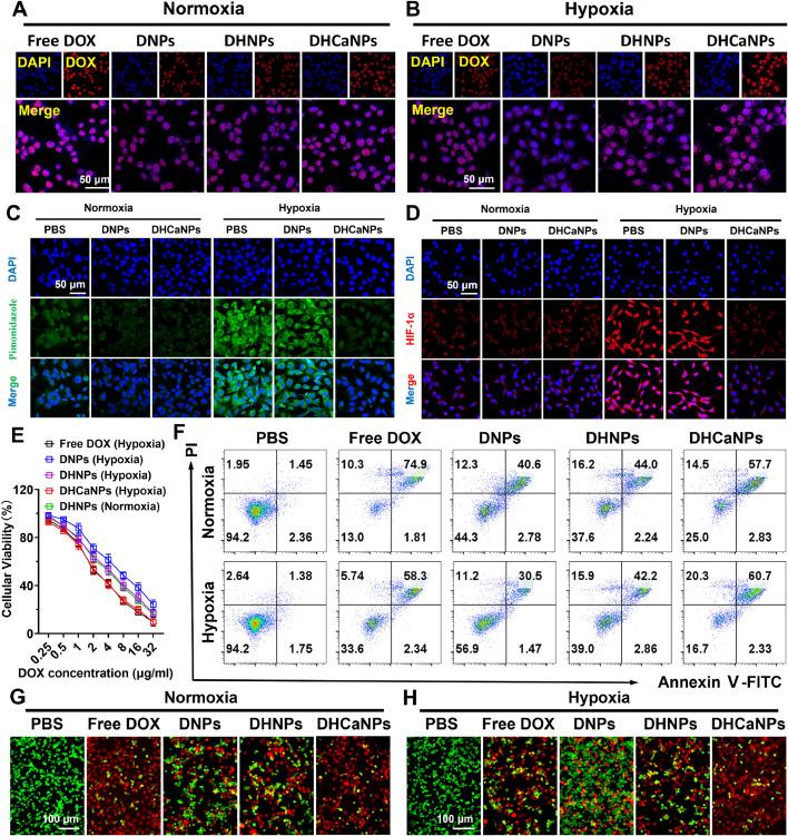 https://cdn.ncbi.nlm.nih.gov/pmc/blobs/275a/11002573/2f9d3f179e64/gr3.jpg