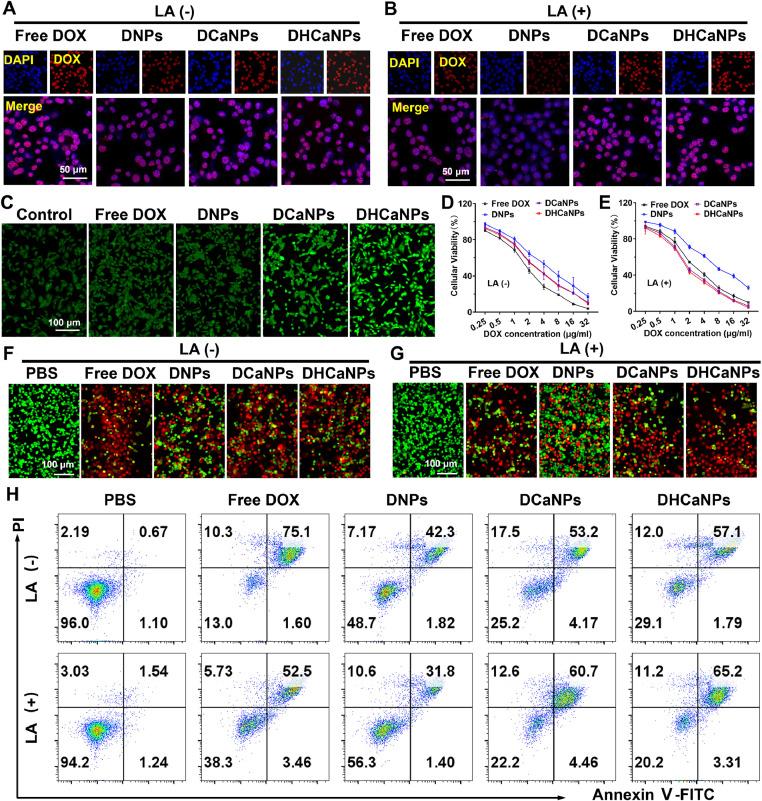 https://cdn.ncbi.nlm.nih.gov/pmc/blobs/275a/11002573/4e75845d53d6/gr2.jpg