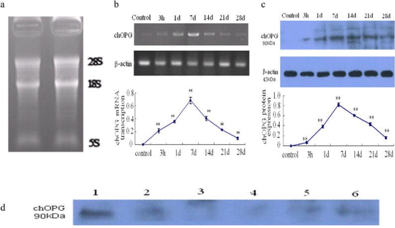 https://cdn.ncbi.nlm.nih.gov/pmc/blobs/275a/6933202/d26dbcf159d4/gr1.jpg