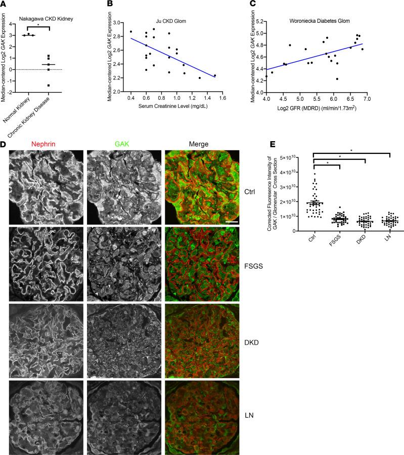 https://cdn.ncbi.nlm.nih.gov/pmc/blobs/275b/7710277/b6de23585e48/jciinsight-5-142740-g151.jpg