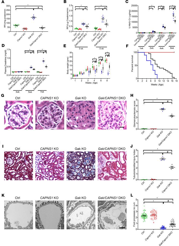 https://cdn.ncbi.nlm.nih.gov/pmc/blobs/275b/7710277/b7fbc27ccd8c/jciinsight-5-142740-g156.jpg