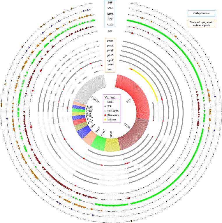 https://cdn.ncbi.nlm.nih.gov/pmc/blobs/275c/11825540/0c38f4ff2efc/15010_2024_2365_Fig5_HTML.jpg